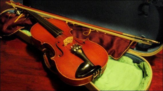 PalfnerViolin.jpg