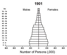 Population pyramid 1901