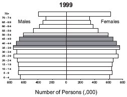 Population pyramid 1999